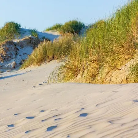펜션 Beach Villa In North Holland With Patio *